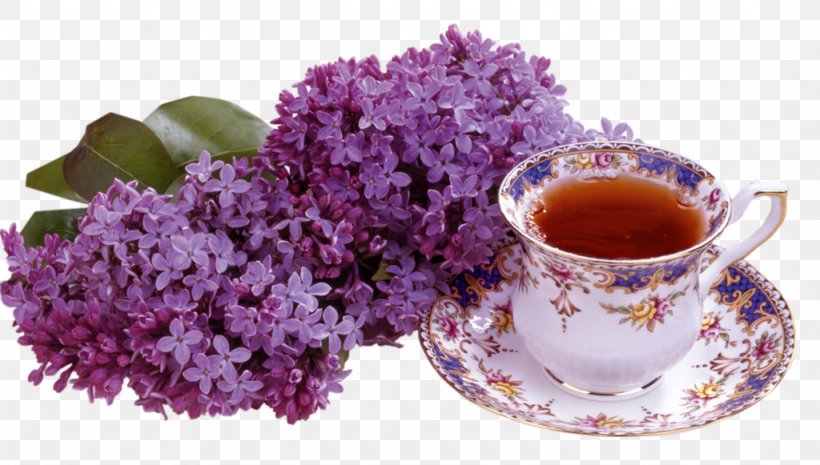 Teacup Coffee Petit Four Lilac, PNG, 1024x581px, Tea, Coffee, Coffee Cup, Cup, Dessert Download Free