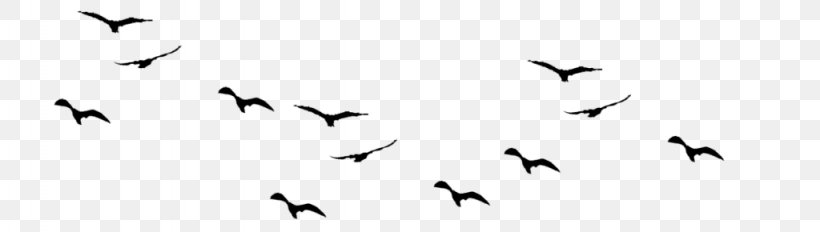 Bird Flight Flock Bird Flight Clip Art, PNG, 1024x290px, Bird, Animal Migration, Beak, Bird Flight, Bird Migration Download Free