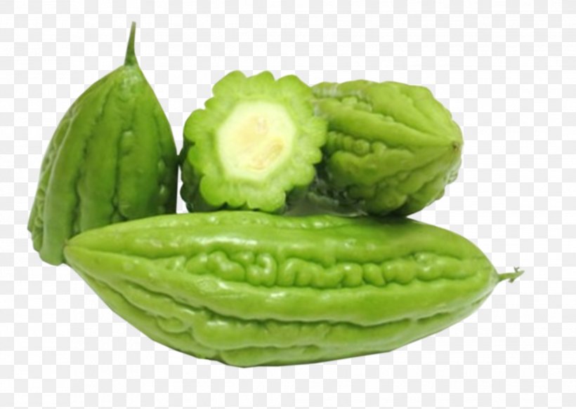 Bitter Melon Vegetable Food Chayote Health, PNG, 2037x1450px, Bitter Melon, Benih, Beslenme, Chayote, Commodity Download Free