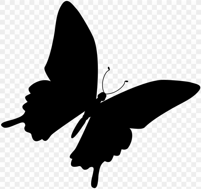Brush-footed Butterflies Black & White, PNG, 8000x7512px, Brushfooted Butterflies, Black, Black M, Black White M, Blackandwhite Download Free