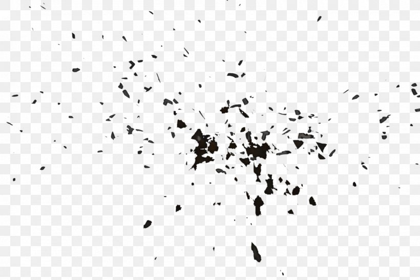 Particle Photoshop Plugin, PNG, 1600x1067px, Particle, Animal Migration, Bird Migration, Black And White, Blend Modes Download Free