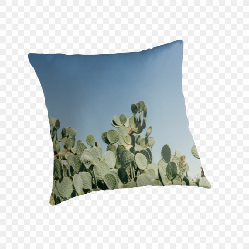 Throw Pillows Cushion, PNG, 875x875px, Throw Pillows, Cushion, Pillow, Throw Pillow Download Free
