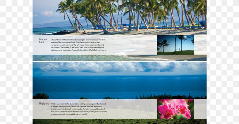 Water Resources Advertising Vacation Tourism Brand, PNG, 940x490px, Water Resources, Advertising, Aqua, Brand, Brochure Download Free