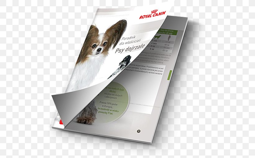 West Highland White Terrier Golden Retriever Pet Shop Breed, PNG, 534x508px, West Highland White Terrier, Advertising, Brand, Breed, Brochure Download Free
