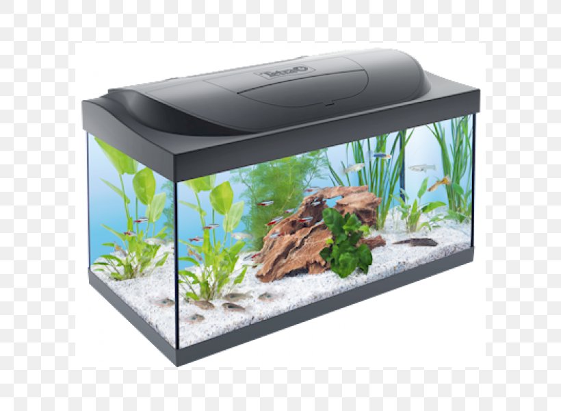 Aquarium Filters Tetra Fishkeeping GloFish, PNG, 600x600px, Aquarium, Aquarium Decor, Aquarium Filters, Aquarium Lighting, Aquariums Download Free