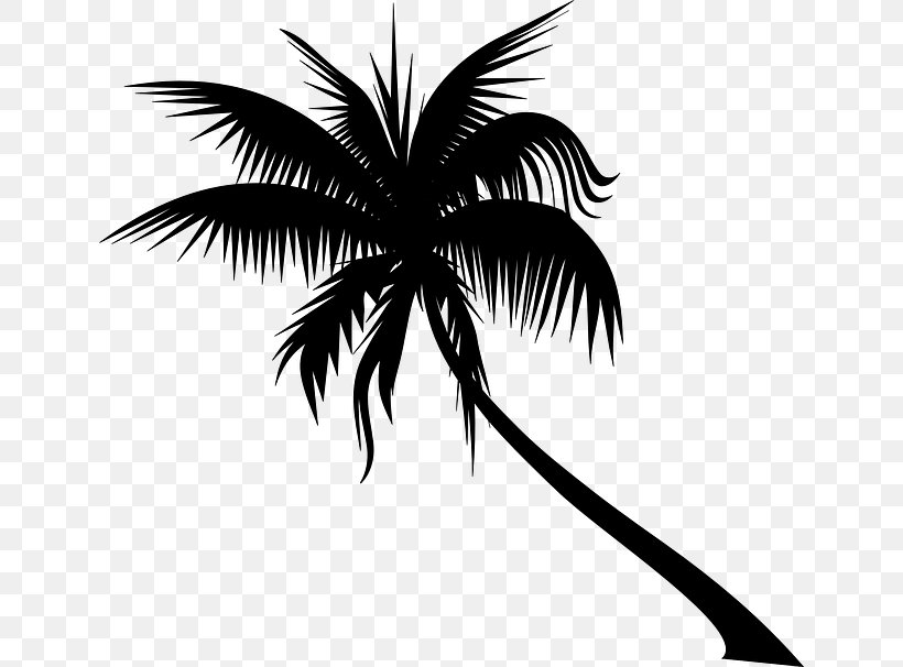 Clip Art Tree Dypsis Decaryi Areca Palm, PNG, 640x606px, Tree, Adonidia, Areca Palm, Arecales, Art Download Free