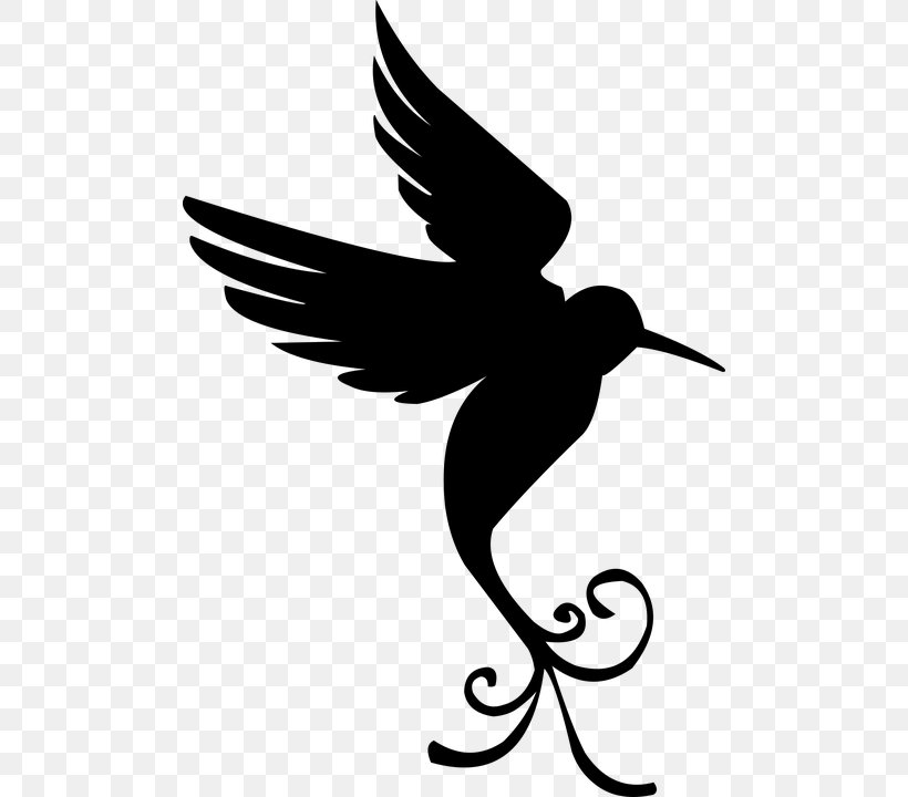 Hummingbird Clip Art Duck Silhouette, PNG, 490x720px, Bird, Beak, Bird Flight, Bird Of Prey, Blackandwhite Download Free