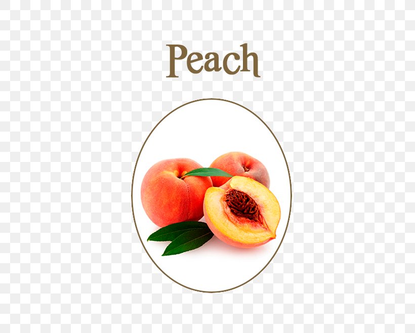 Peach Flavor Juice Electronic Cigarette Aerosol And Liquid Fruit, PNG, 566x658px, Peach, Apricot, Cherry, Common Plum, Dairy Products Download Free