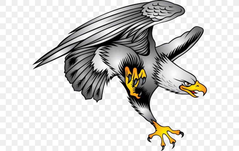 Bald Eagle Symbol Illustration, PNG, 600x518px, Bald Eagle, Art, Beak, Bird, Bird Of Prey Download Free