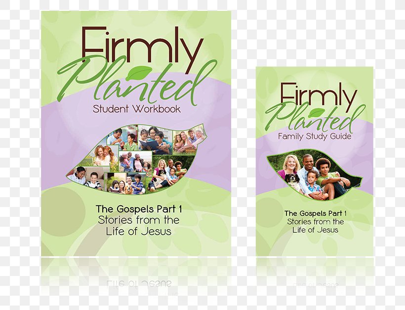 Bible Psalms Sixth And Seventh Books Of Moses Firmly Planted Family Home School Resource Center, PNG, 800x629px, Bible, Advertising, Bible Study, Book, Brand Download Free