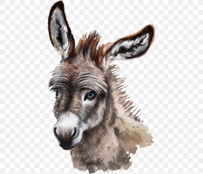 Donkey Stock Photography Drawing, PNG, 441x704px, Donkey, Donkey Milk, Drawing, Fauna, Horn Download Free