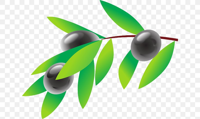 Olive Martini Download Clip Art, PNG, 640x489px, Olive, Fruit, Leaf, Martini, Olive Branch Download Free