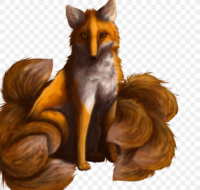 Red Fox Fur Wildlife Fox News, PNG, 917x872px, Red Fox, Carnivoran, Dog Like Mammal, Fox, Fox News Download Free