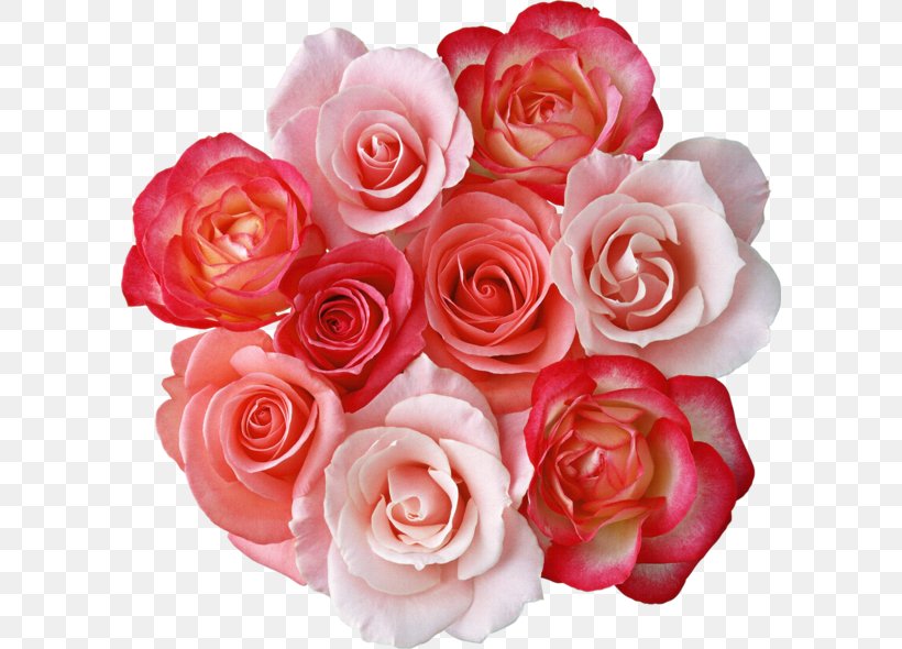 Rose Flower Bouquet Pink Flowers Clip Art, PNG, 600x590px, Rose, Artificial Flower, Cut Flowers, Floral Design, Floribunda Download Free