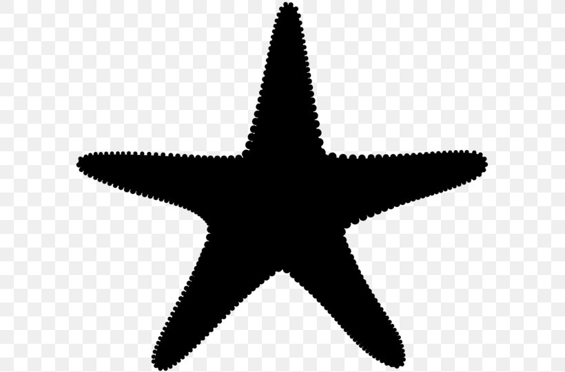 Starfish Vector Graphics Clip Art Illustration, PNG, 600x541px, Starfish, Cartoon, Echinoderm, Istock, Marine Invertebrates Download Free