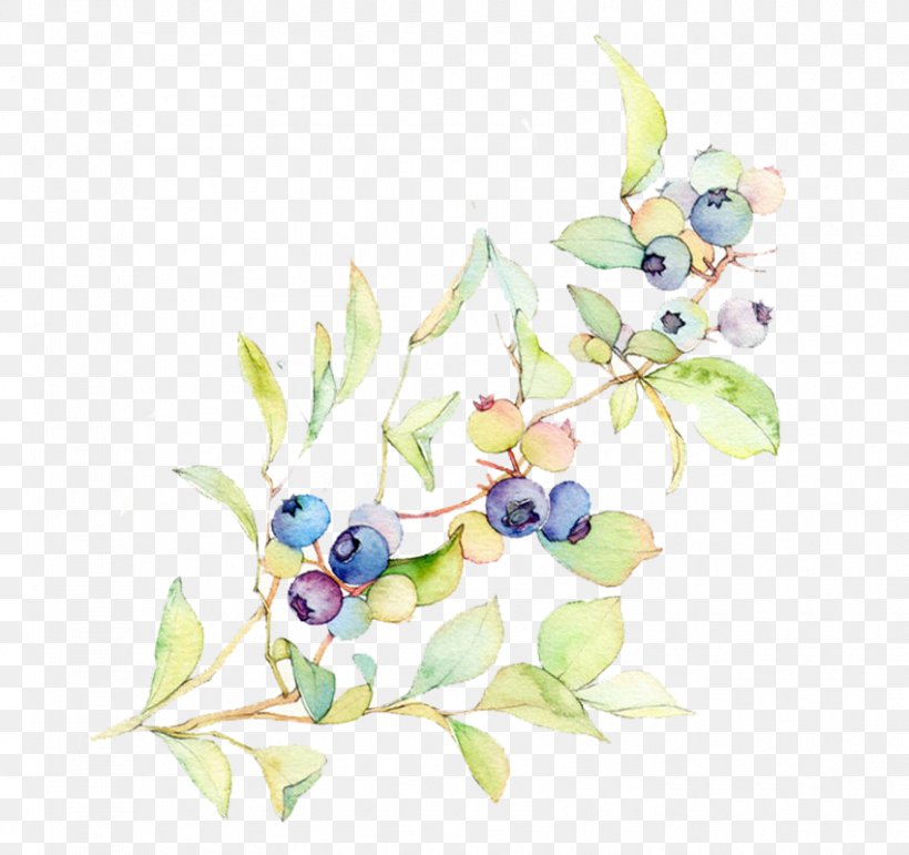 Blueberry Bilberry Illustration, PNG, 850x800px, Blueberry, Art, Bilberry, Bird, Branch Download Free