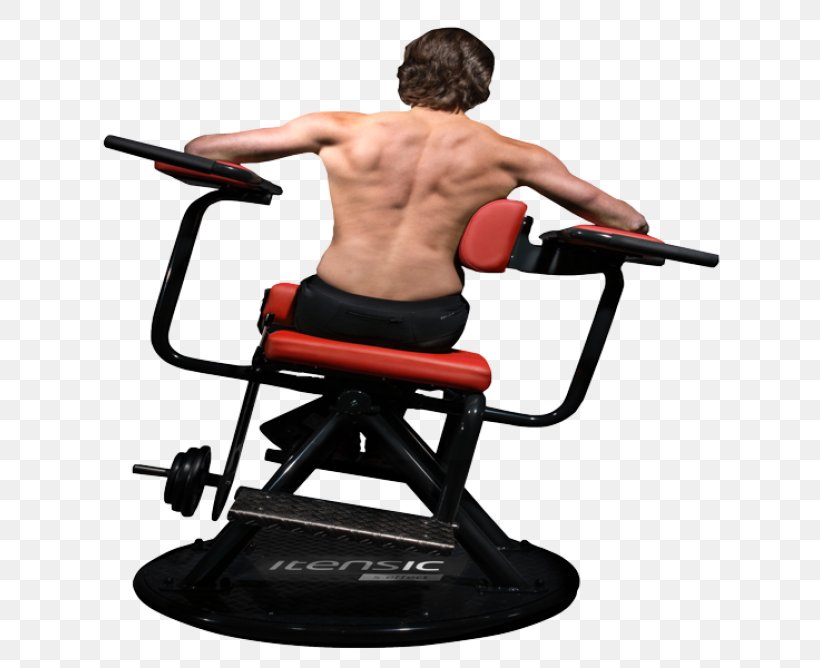 Weight Training Weightlifting Machine Fitness Centre Bodybuilding Subscription Business Model, PNG, 668x668px, Watercolor, Cartoon, Flower, Frame, Heart Download Free