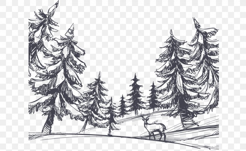 Drawing Shulin District, PNG, 1034x638px, Drawing, Artwork, Black And White, Cartoon, Conifer Download Free