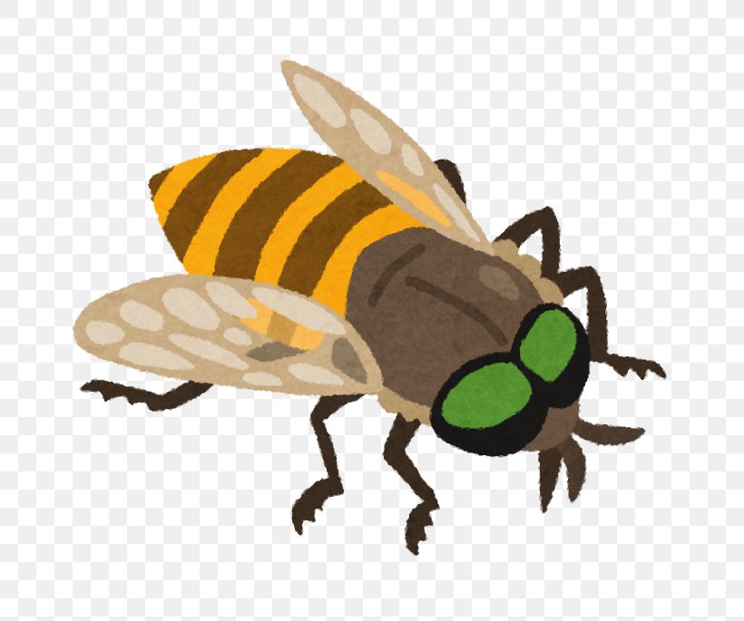 Honey Bee アブ Fly 虫, PNG, 685x685px, Honey Bee, Arthropod, Bee, Blood, Fauna Download Free
