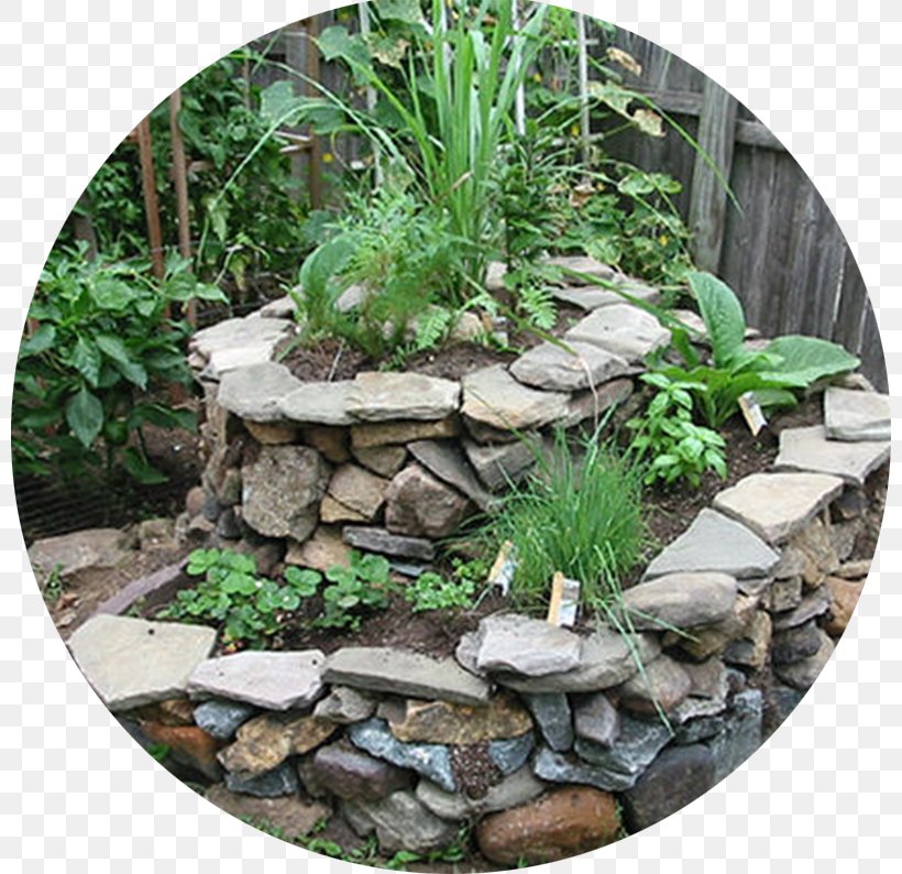 Permaculture Gardening Herb Kitchen Garden, PNG, 800x794px, Permaculture, Ecological Design, Flowerpot, Garden, Garden Design Download Free