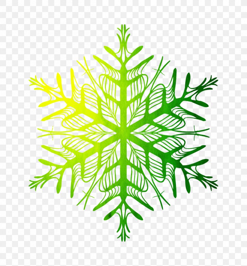 Snowflake Clip Art Vector Graphics Christmas Decoration, PNG, 1300x1400px, Snowflake, American Larch, Blue, Botany, Christmas Decoration Download Free