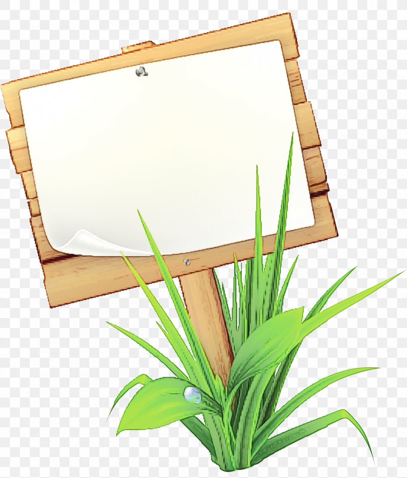 Watercolor Plant, PNG, 1685x1978px, Watercolor, Grass, Grass Family, Grasses, Houseplant Download Free