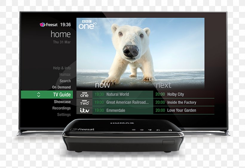 Digital Video Recorders Humax HDR-1100S High-definition Television Freesat, PNG, 1200x828px, Video, Advertising, Bear, Brand, Digital Television Download Free