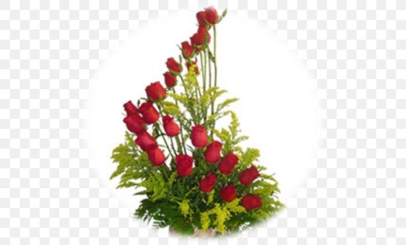Latacunga Garden Roses Floral Design Cut Flowers, PNG, 516x495px, Latacunga, Basket, Basketball, Christmas, Cut Flowers Download Free