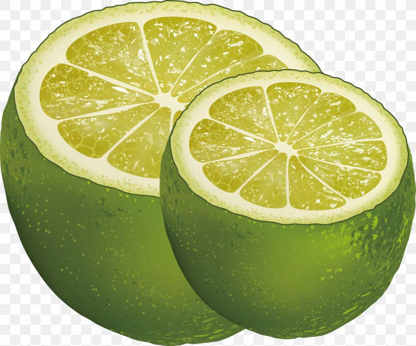 Persian Lime Lemon Key Lime, PNG, 1352x1126px, Lime, Citric Acid, Citron, Citrus, Designer Download Free