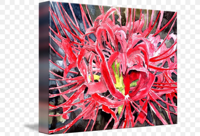 Red Spider Lily Petal Watercolor Painting Canvas, PNG, 650x556px, Red Spider Lily, Abstract Art, Art, Art Museum, Canvas Download Free