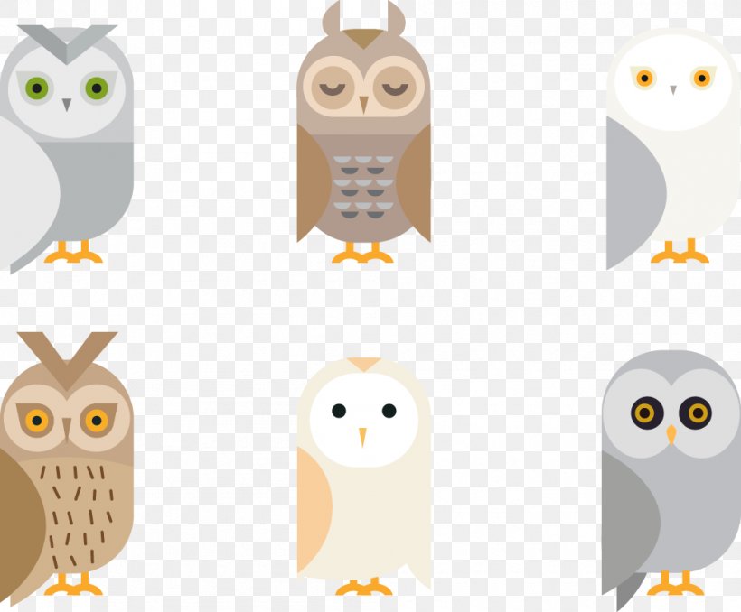 Barn Owl Giant Panda Bird, PNG, 1005x831px, Owl, Animal, Barn Owl, Beak, Bird Download Free