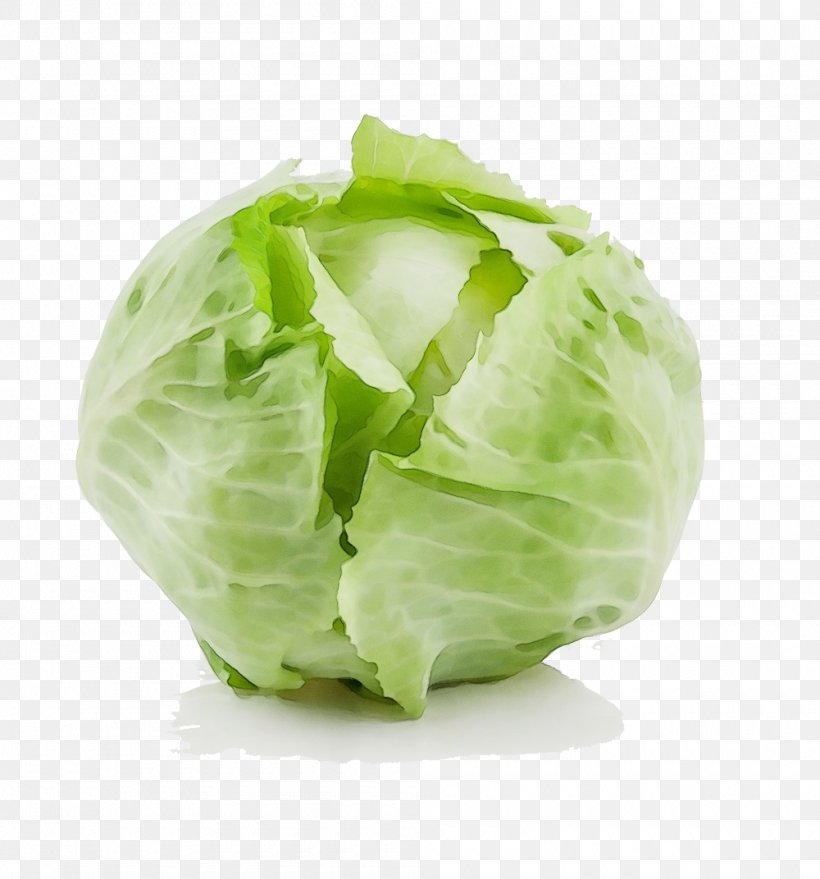 Cabbage Iceburg Lettuce Vegetable Leaf Vegetable Lettuce, PNG, 1000x1072px, Watercolor, Cabbage, Cruciferous Vegetables, Food, Iceburg Lettuce Download Free