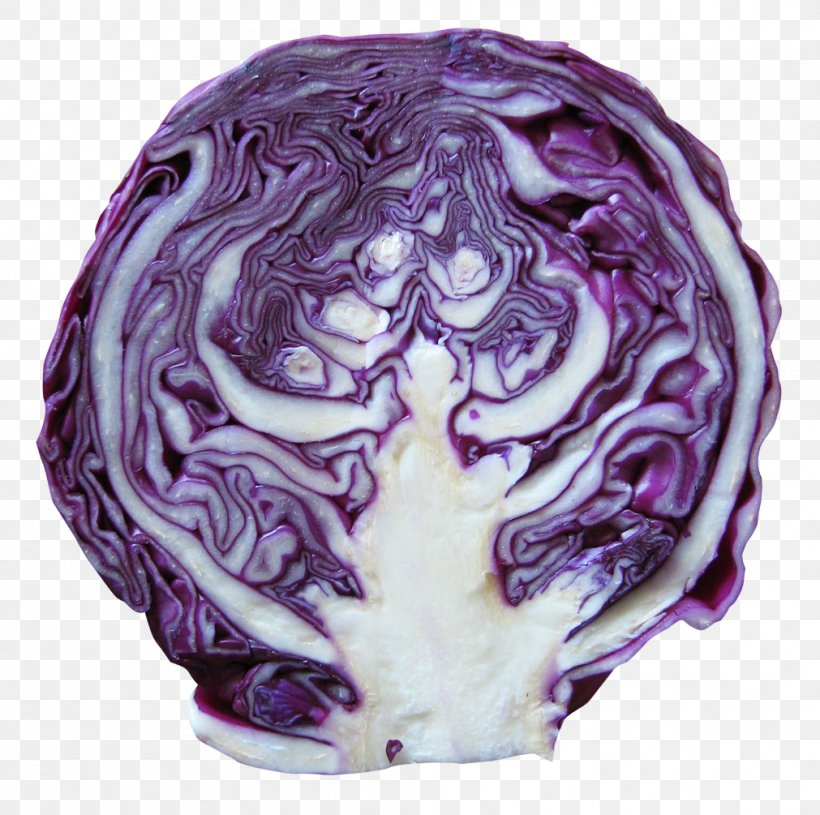 Red Cabbage Vegetable, PNG, 1011x1005px, Red Cabbage, Brassica Oleracea, Cabbage, Collard Greens, Food Download Free