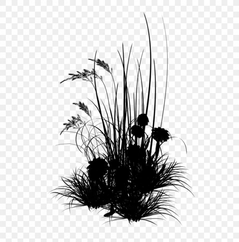 Young Living IMVU Flower Grasses Cell, PNG, 887x900px, Young Living, Aquarium Decor, Artificial Flower, Bedroom, Blackandwhite Download Free