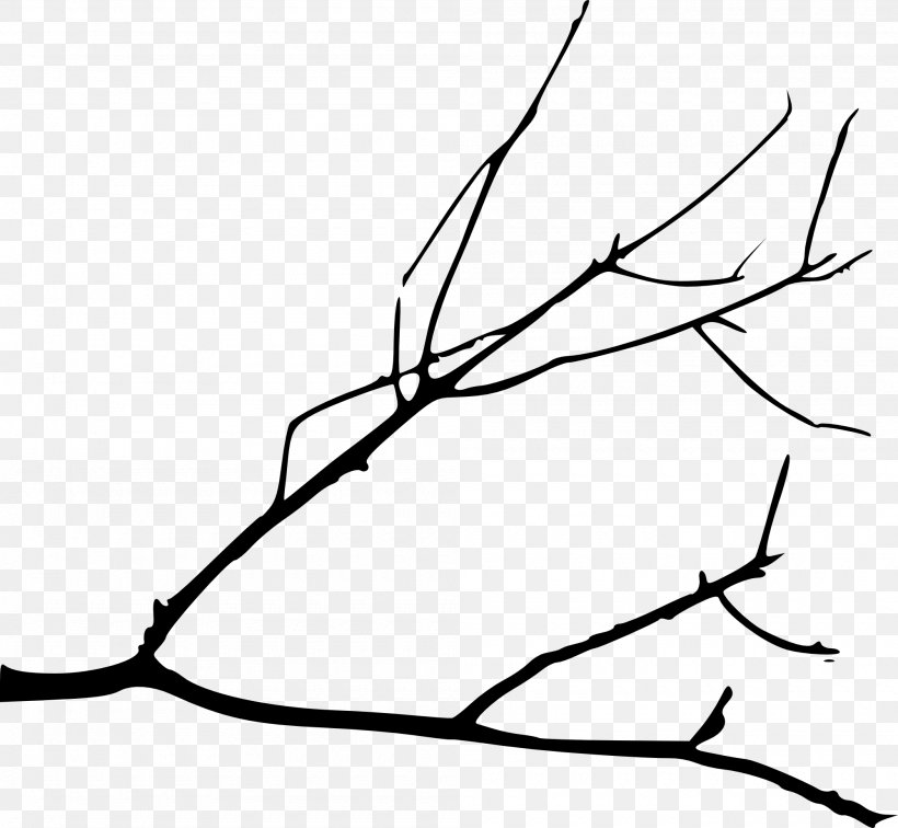Branch Tree Silhouette Drawing Clip Art, PNG, 2000x1844px, Branch, Area, Artwork, Black, Black And White Download Free