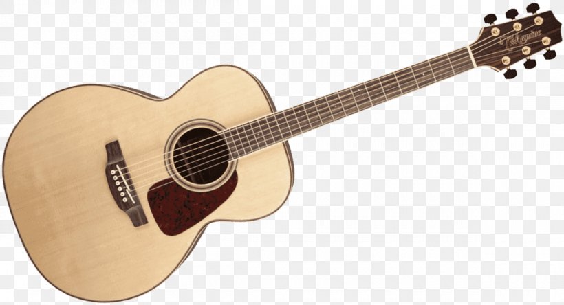 Twelve-string Guitar Takamine Guitars Acoustic Guitar Acoustic-electric Guitar, PNG, 1200x650px, Watercolor, Cartoon, Flower, Frame, Heart Download Free