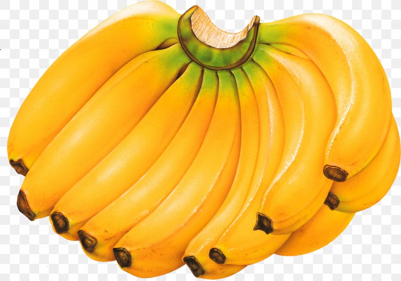 Cavendish Banana Tropical Fruit Food, PNG, 1600x1123px, Banana, Banana Family, Banana Plantation, Calabaza, Cavendish Banana Download Free