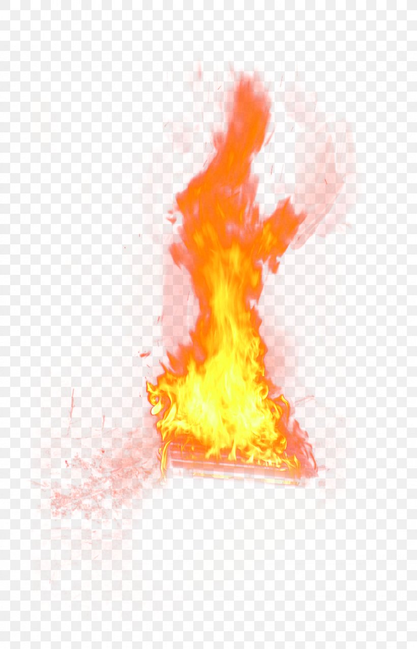 Flame Fire Combustion Download, PNG, 1228x1910px, Watercolor, Cartoon, Flower, Frame, Heart Download Free