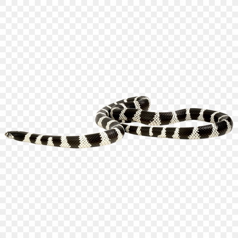 Snake Scaled Reptiles Python, PNG, 1000x1000px, Snake, Animal, Black And White, Ophidia, Python Download Free
