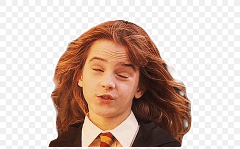 Harry Potter (Literary Series) Sticker Telegram Hermione Granger, PNG, 512x512px, Harry Potter, Brown Hair, Chin, Forehead, Hair Download Free