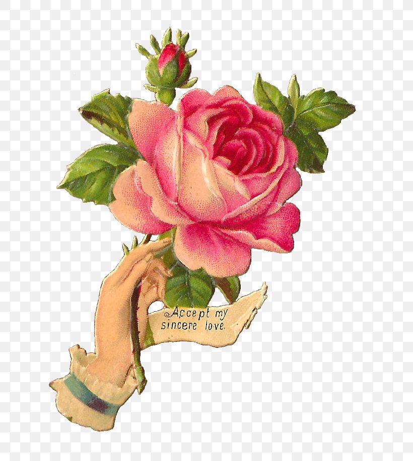 Rose Vintage Clothing Clip Art, PNG, 728x917px, Rose, Antique, Art, Artificial Flower, Book Illustration Download Free