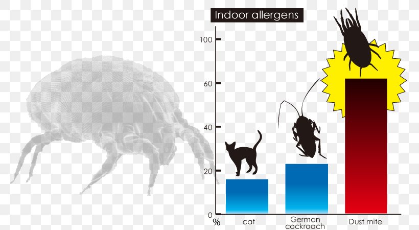 Cat House Dust Mite Allergy, PNG, 800x450px, Cat, Allergen, Allergy, Animal Allergy, Beak Download Free
