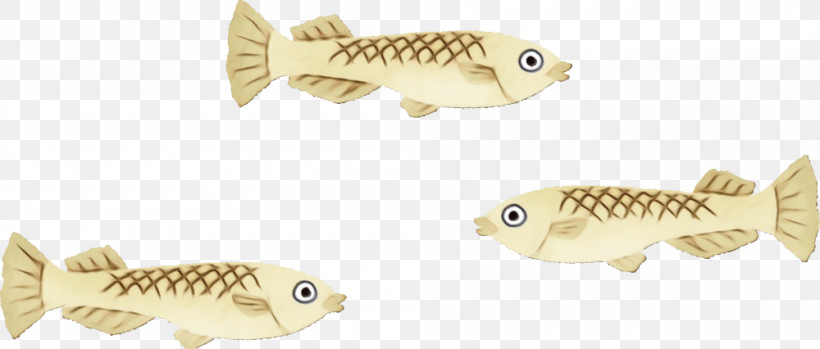 Fish Fish Carp Bony-fish Cyprinidae, PNG, 1000x426px, Watercolor, Bonyfish, Carp, Cyprinidae, Fish Download Free