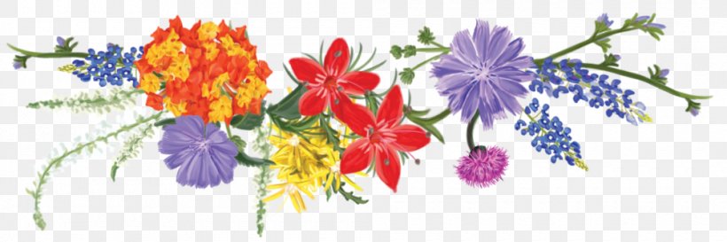 Floral Design Illustration Flowering Plant Plants, PNG, 1000x334px, Floral Design, Art, Flora, Floristry, Flower Download Free