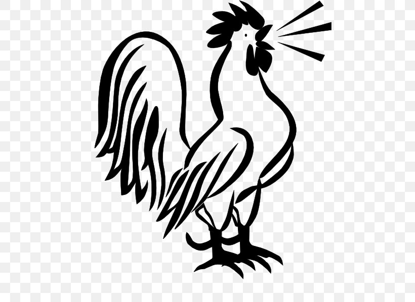Plymouth Rock Chicken Rooster Galliformes Clip Art, PNG, 528x598px, Plymouth Rock Chicken, Art, Artwork, Beak, Bird Download Free