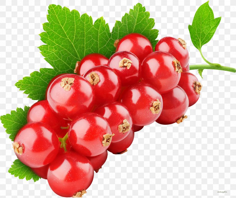 Tutti Frutti Fruit Redcurrant Berry Health, PNG, 1500x1259px, Tutti Frutti, Berry, Carambola, Cherry, Cranberry Download Free