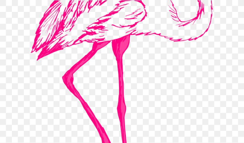 Bird Line Drawing, PNG, 615x481px, Flamingo, Bird, Drawing, Greater Flamingo, Magenta Download Free