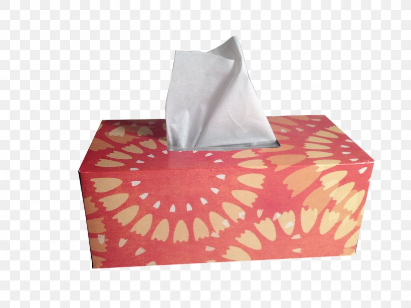 Facial Tissues Box Paper, PNG, 1280x960px, Facial Tissues, Box, Cardboard Box, Common Cold, Face Download Free