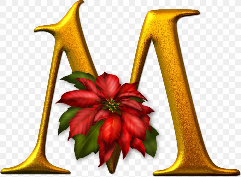 Letter Alphabet N Яндекс.Фотки Shape, PNG, 1103x811px, Letter, Alphabet, Flower, Food, Fruit Download Free