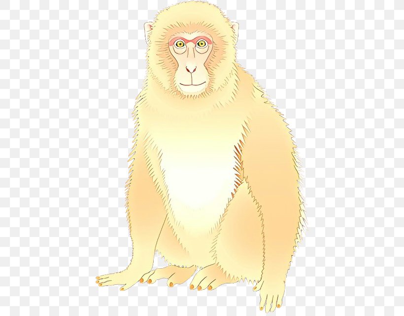Lion Macaque Whiskers Bear Old World Monkeys, PNG, 432x640px, Lion, Art, Beak, Bear, Big Cat Download Free